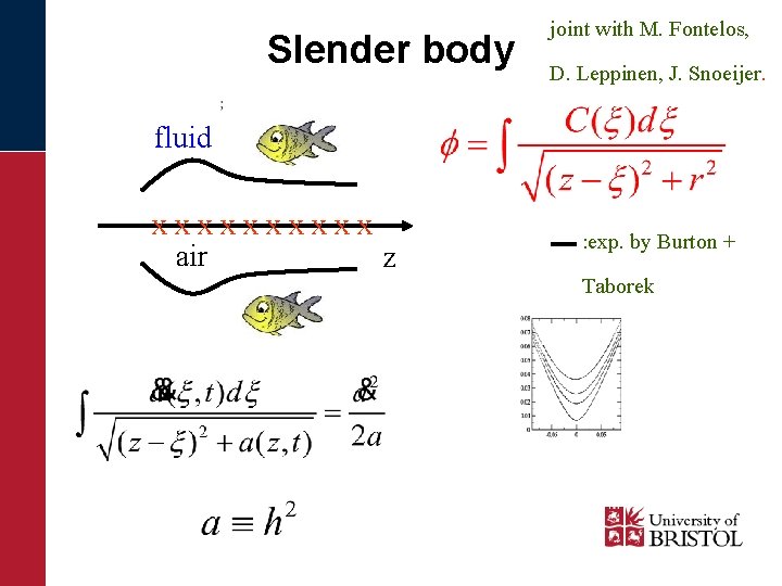 Slender body joint with M. Fontelos, D. Leppinen, J. Snoeijer. fluid xxxxx air z