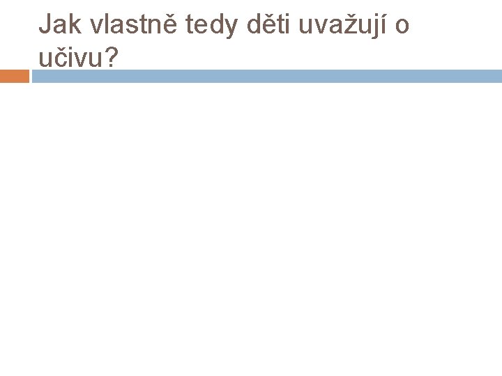 Jak vlastně tedy děti uvažují o učivu? 