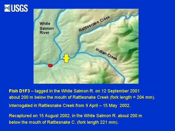 k White Salmon River ak n s e e e Cre ttl Ra Ind