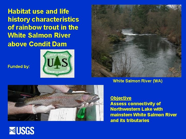 Habitat use and life history characteristics of rainbow trout in the White Salmon River