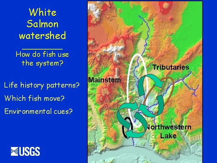 White Salmon watershed _____ How do fish use the system? Life history patterns? Tributaries