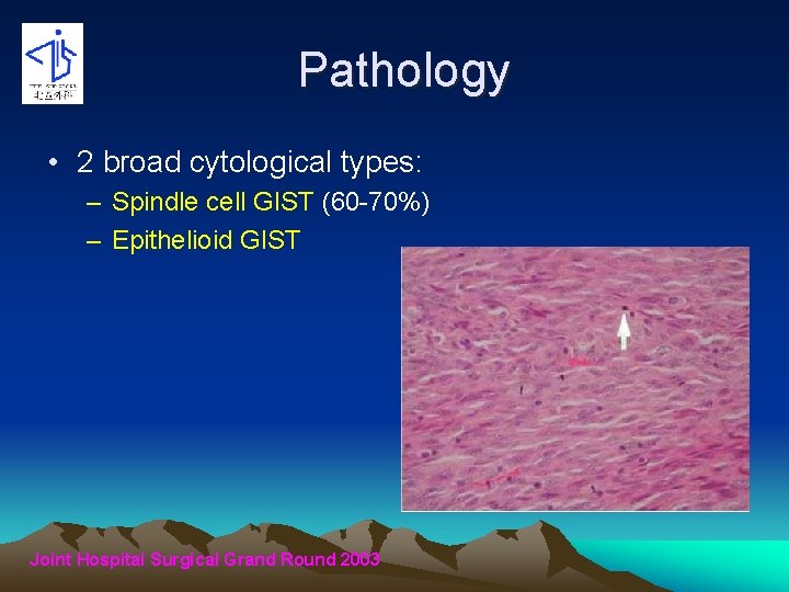 Pathology • 2 broad cytological types: – Spindle cell GIST (60 -70%) – Epithelioid