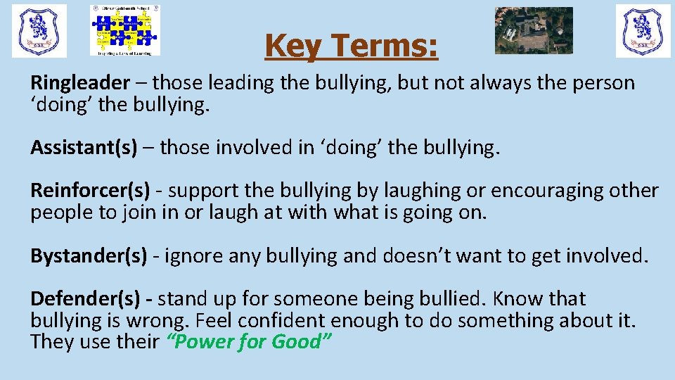 Key Terms: Ringleader – those leading the bullying, but not always the person ‘doing’ Key Terms: Ringleader – those leading the bullying, but not always the person ‘doing’