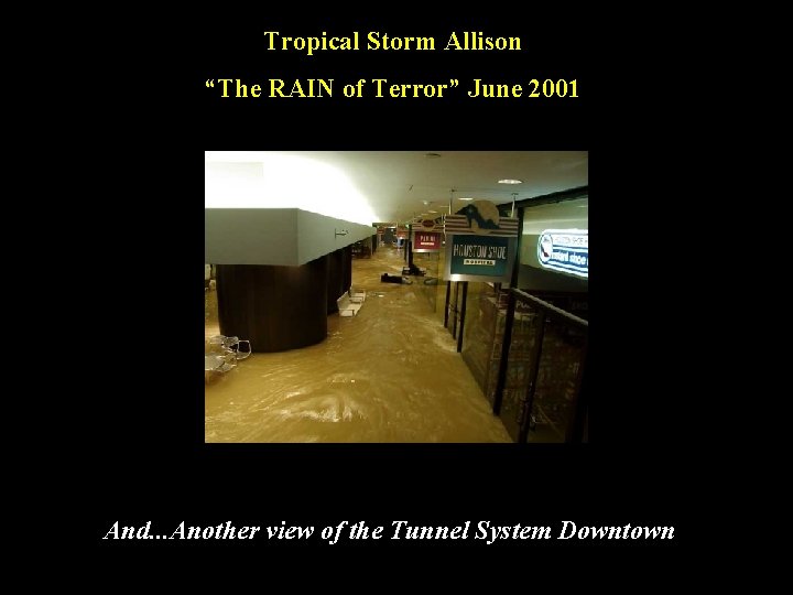 Tropical Storm Allison “The RAIN of Terror” June 2001 And. . . Another view