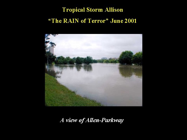 Tropical Storm Allison “The RAIN of Terror” June 2001 A view of Allen-Parkway 