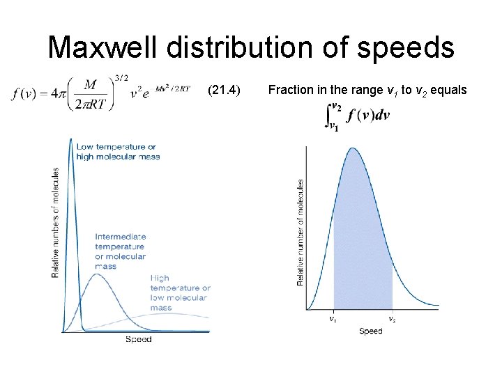 Maxwell distribution of speeds (21. 4) Fraction in the range v 1 to v Maxwell distribution of speeds (21. 4) Fraction in the range v 1 to v