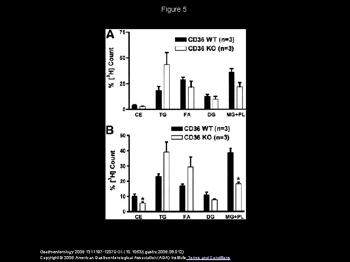 Cd 36 Is Important For Chylomicron Formation And