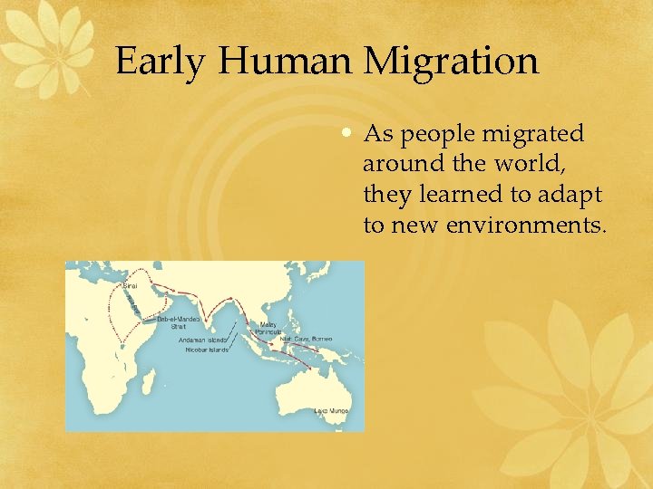 Early Human Migration • As people migrated around the world, they learned to adapt