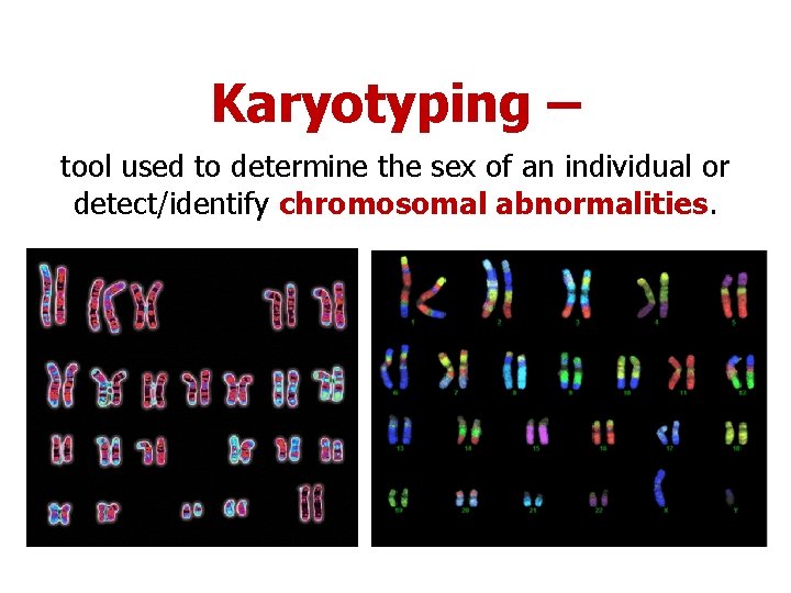 Karyotyping – tool used to determine the sex of an individual or detect/identify chromosomal