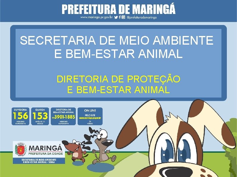 SECRETARIA DE MEIO AMBIENTE E BEM-ESTAR ANIMAL DIRETORIA DE PROTEÇÃO E BEM-ESTAR ANIMAL 