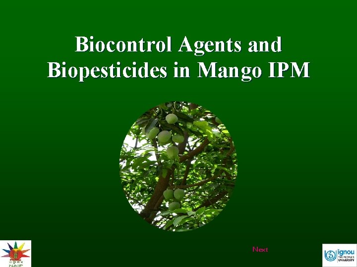 Biocontrol Agents and Biopesticides in Mango IPM Next 
