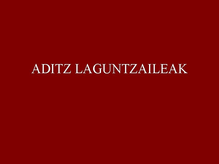 ADITZ LAGUNTZAILEAK 