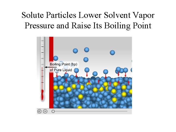 Solute Particles Lower Solvent Vapor Pressure and Raise Its Boiling Point 