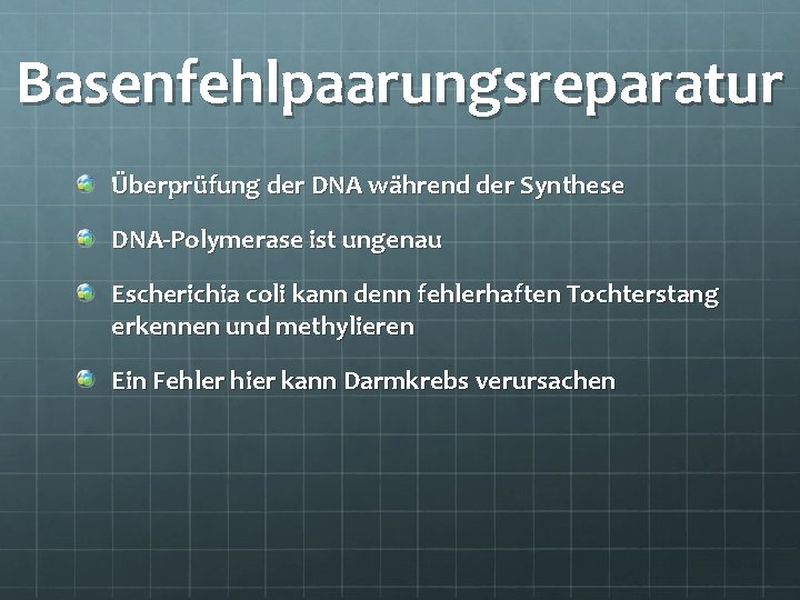 Basenfehlpaarungsreparatur Überprüfung der DNA während der Synthese DNA-Polymerase ist ungenau Escherichia coli kann denn