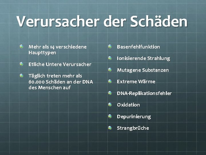 Verursacher der Schäden Mehr als 14 verschiedene Haupttypen Etliche Untere Verursacher Täglich treten mehr