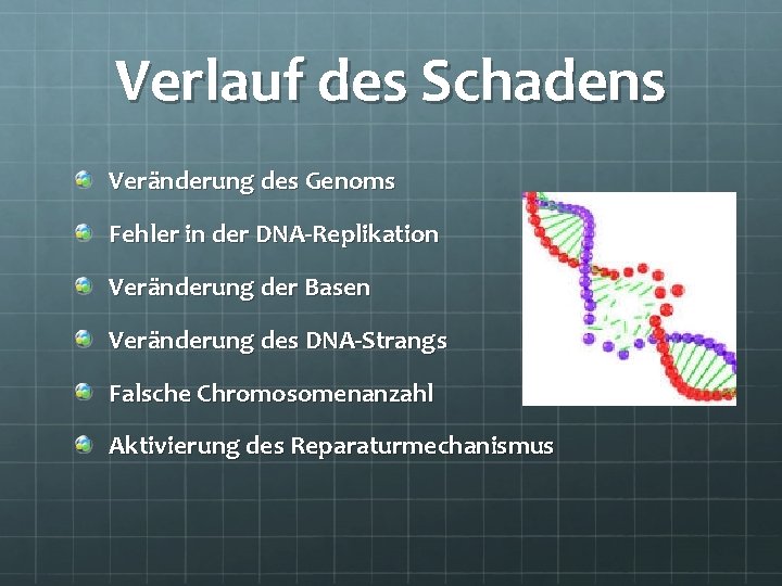 Verlauf des Schadens Veränderung des Genoms Fehler in der DNA-Replikation Veränderung der Basen Veränderung