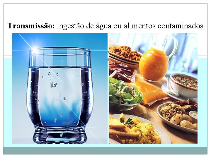 Transmissão: ingestão de água ou alimentos contaminados. 