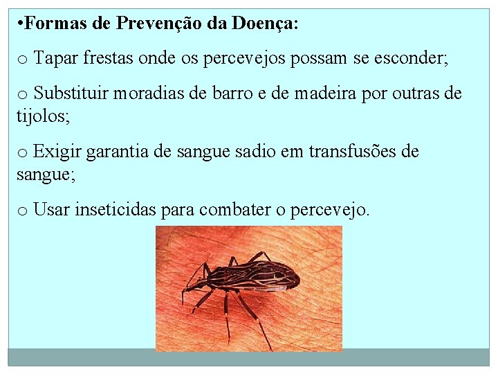  • Formas de Prevenção da Doença: o Tapar frestas onde os percevejos possam