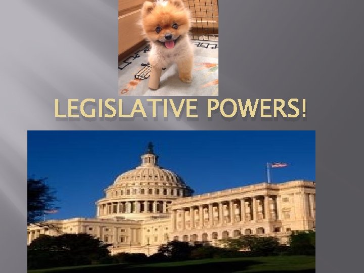 LEGISLATIVE POWERS! 