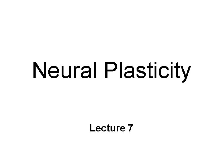 Neural Plasticity Lecture 7 