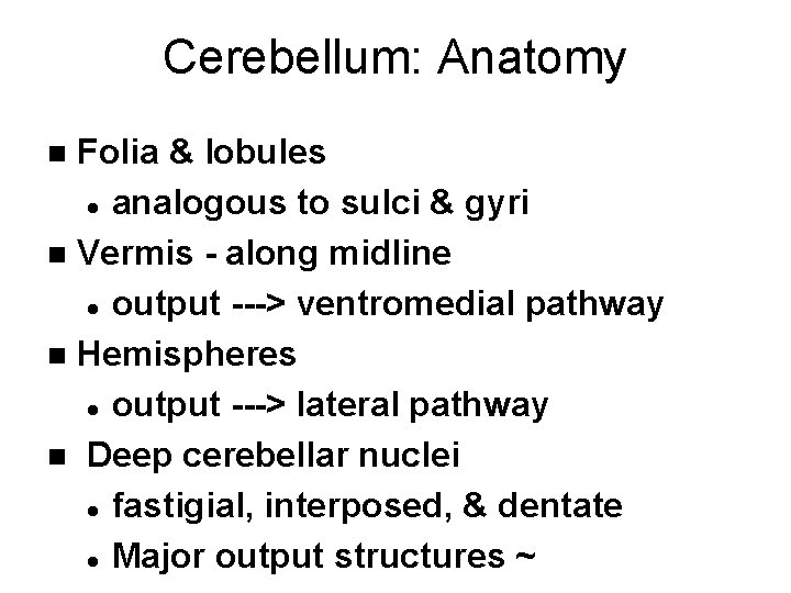 Cerebellum: Anatomy Folia & lobules l analogous to sulci & gyri n Vermis -