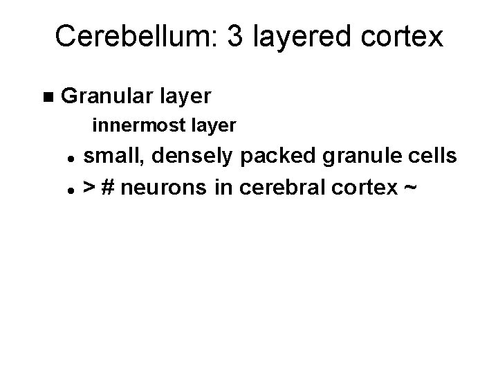 Cerebellum: 3 layered cortex n Granular layer innermost layer l l small, densely packed