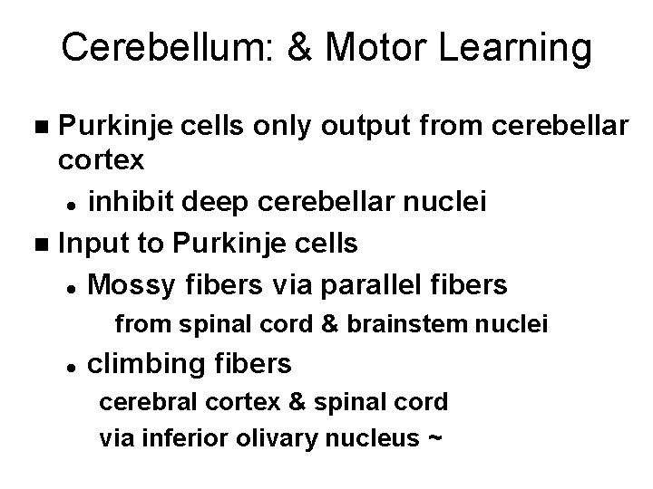 Cerebellum: & Motor Learning Purkinje cells only output from cerebellar cortex l inhibit deep