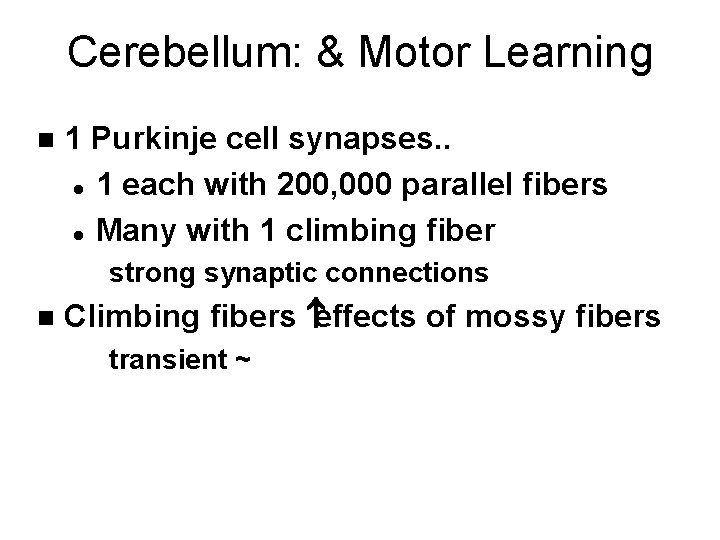 Cerebellum: & Motor Learning n 1 Purkinje cell synapses. . l 1 each with