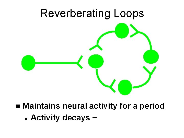 Reverberating Loops n Maintains neural activity for a period l Activity decays ~ 