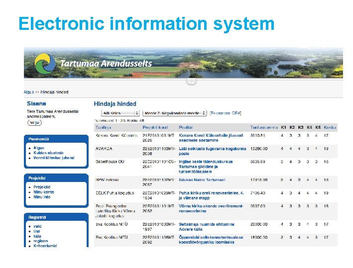 Electronic information system 