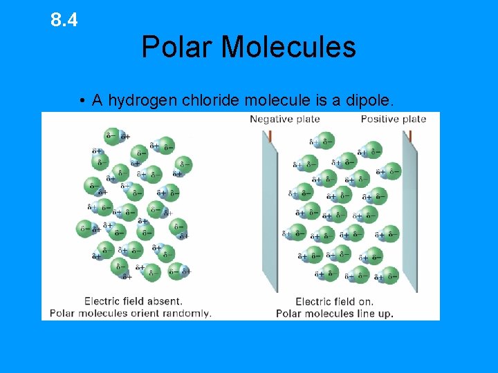 8. 4 Polar Molecules • A hydrogen chloride molecule is a dipole. 