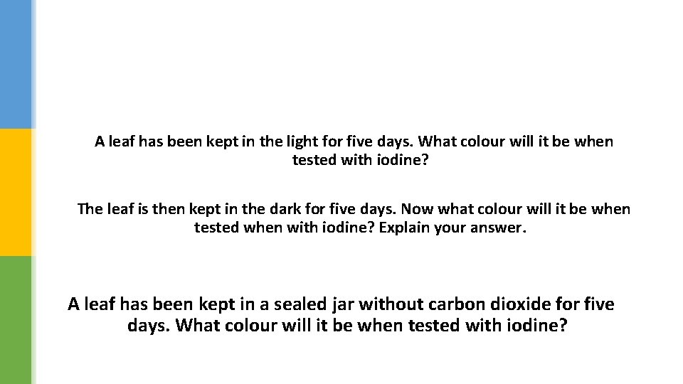 A leaf has been kept in the light for five days. What colour will