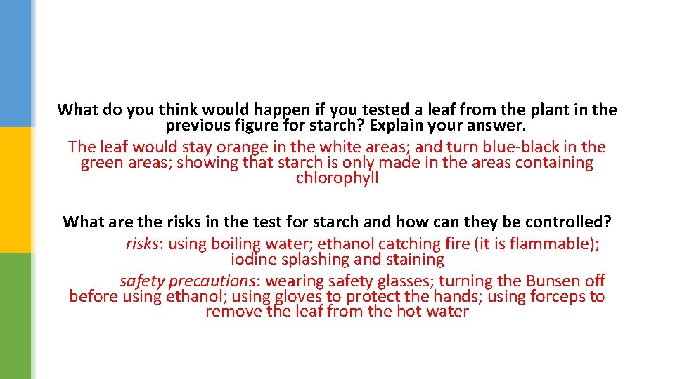 What do you think would happen if you tested a leaf from the plant