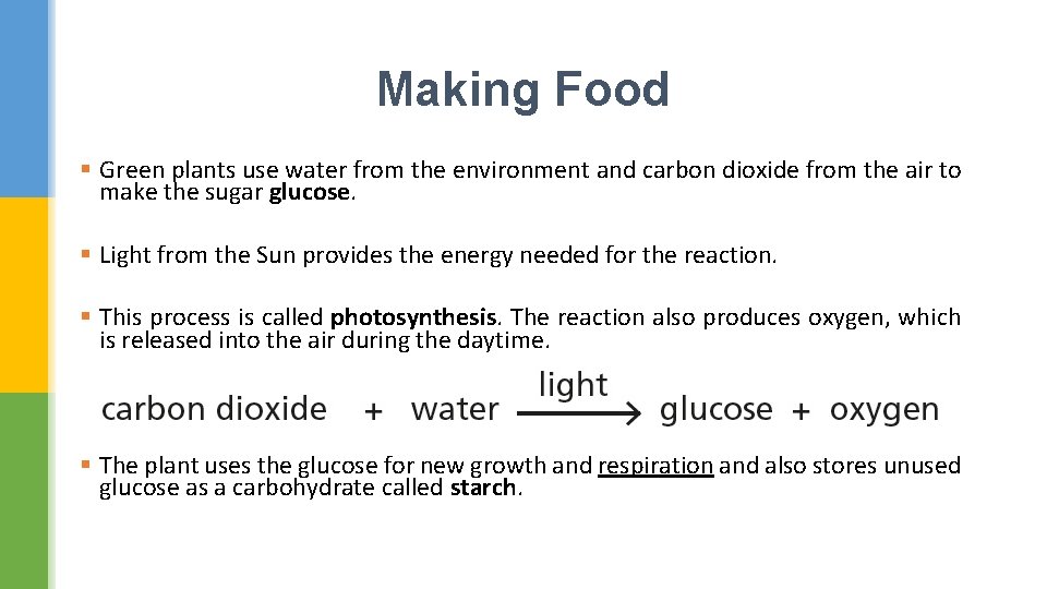 Making Food § Green plants use water from the environment and carbon dioxide from