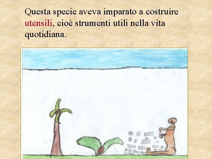 Questa specie aveva imparato a costruire utensili, cioè strumenti utili nella vita quotidiana. 