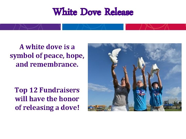 White Dove Release A white dove is a symbol of peace, hope, and remembrance.