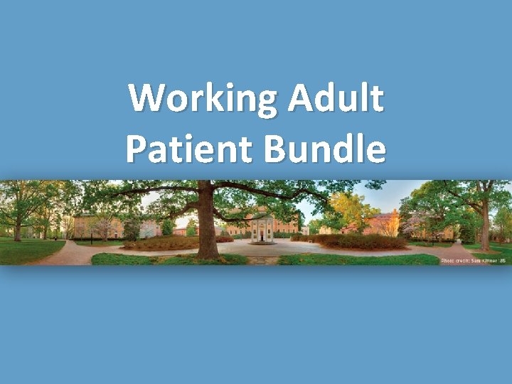 Working Adult Patient Bundle 