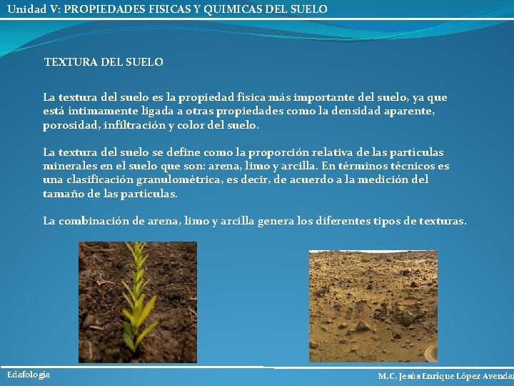 Unidad V: PROPIEDADES FISICAS Y QUIMICAS DEL SUELO TEXTURA DEL SUELO La textura del