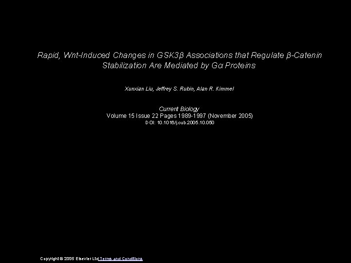 Rapid, Wnt-Induced Changes in GSK 3β Associations that Regulate β-Catenin Stabilization Are Mediated by