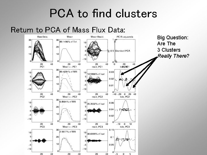 PCA to find clusters Return to PCA of Mass Flux Data: Big Question: Are