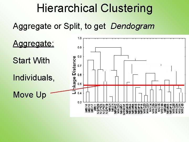 Hierarchical Clustering Aggregate or Split, to get Dendogram Aggregate: Start With Individuals, Move Up