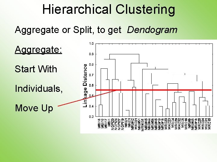 Hierarchical Clustering Aggregate or Split, to get Dendogram Aggregate: Start With Individuals, Move Up