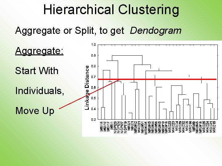 Hierarchical Clustering Aggregate or Split, to get Dendogram Aggregate: Start With Individuals, Move Up