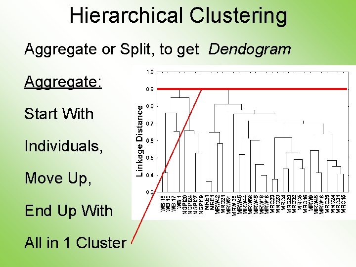 Hierarchical Clustering Aggregate or Split, to get Dendogram Aggregate: Start With Individuals, Move Up,