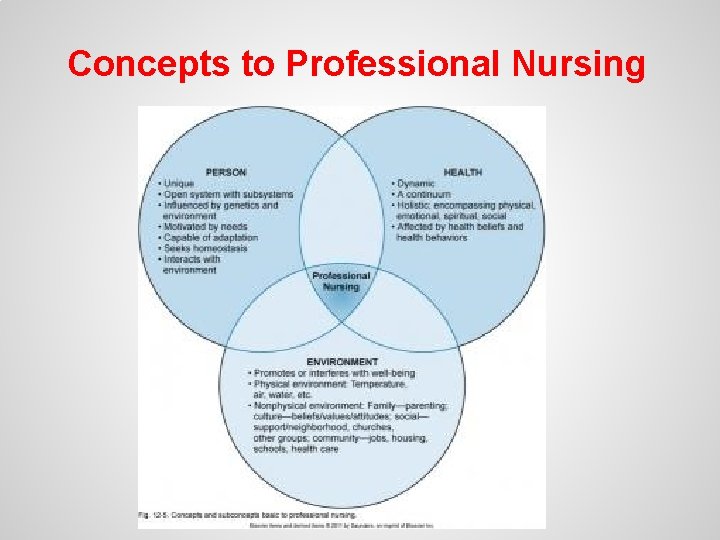 Concepts to Professional Nursing 