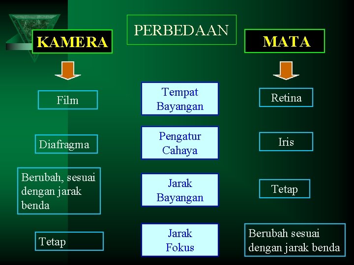 KAMERA Film Diafragma Berubah, sesuai dengan jarak benda Tetap PERBEDAAN MATA Tempat Bayangan Retina