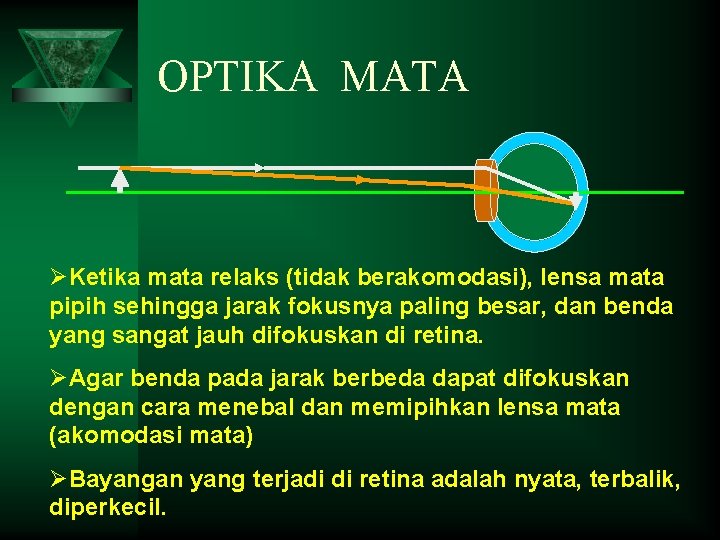 OPTIKA MATA ØKetika mata relaks (tidak berakomodasi), lensa mata pipih sehingga jarak fokusnya paling