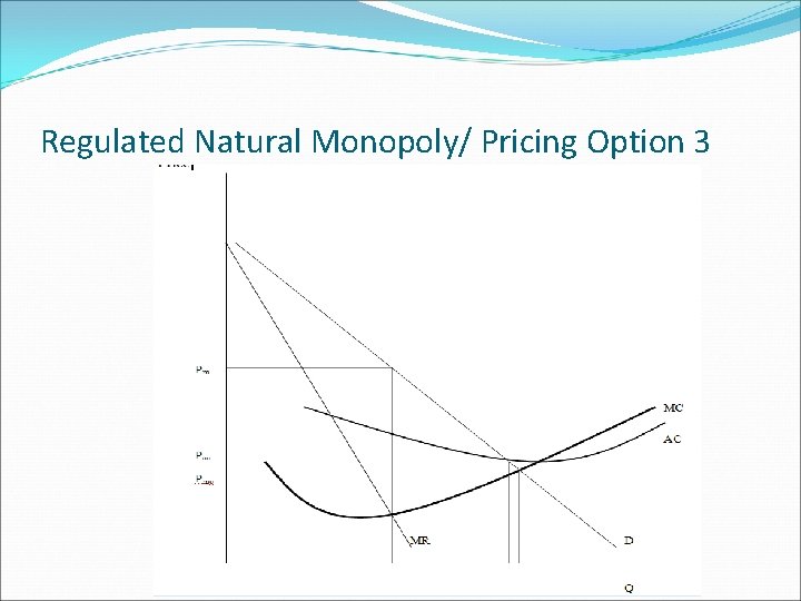 Regulated Natural Monopoly/ Pricing Option 3 