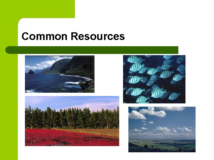 Common Resources 