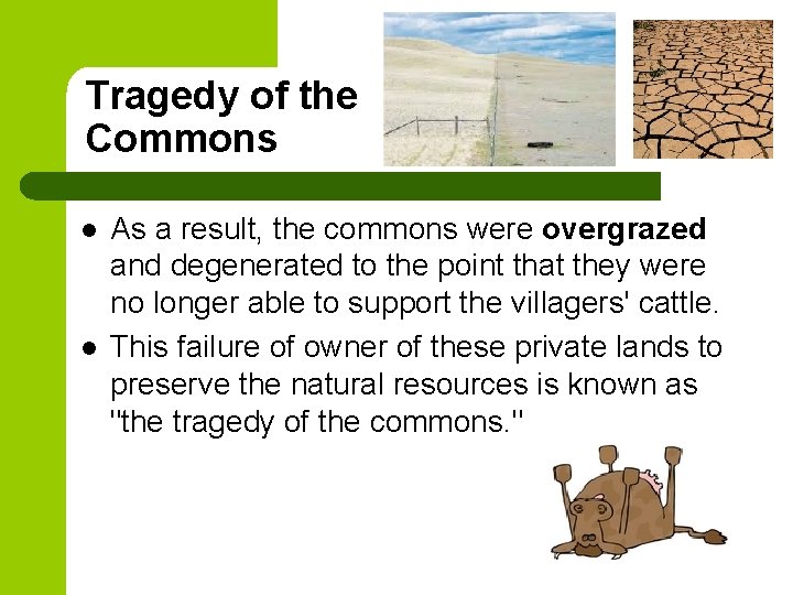 Tragedy of the Commons l l As a result, the commons were overgrazed and